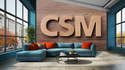 Abbreviation CSM (Customer Service Management) made of letters on wooden background, flat lay Wall mural