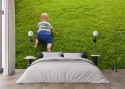 Adorable little baby crawling on green grass outdoors Wall mural