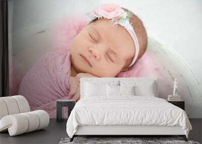 Adorable newborn girl lying in baby nest, closeup Wall mural