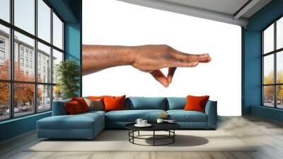 African-American man holding something in hand on white background, closeup Wall mural