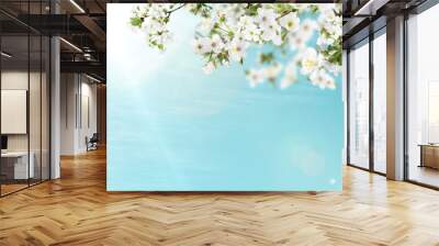 Amazing spring blossom. Tree branches with beautiful flowers outdoors on sunny day, banner design Wall mural