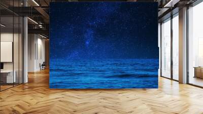 Amazing starry sky over sea at night Wall mural