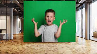 Angry little boy screaming on green background. Aggressive behavior Wall mural