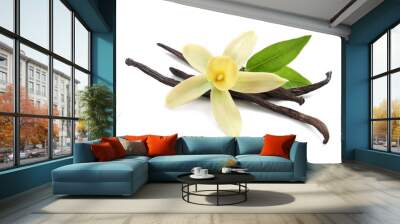 Aromatic vanilla sticks, beautiful flower and green leaves on white background Wall mural