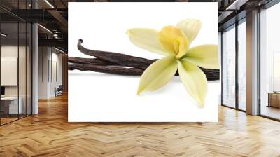 Aromatic vanilla sticks and beautiful flower on white background Wall mural