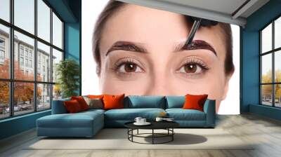 Beautician applying tint during eyebrows correction procedure on white background, closeup Wall mural