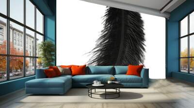 Beautiful black bird feather isolated on white, top view Wall mural