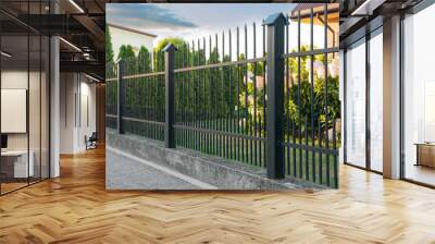 Beautiful black iron fence near pathway outdoors Wall mural