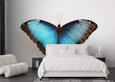 Beautiful Blue Morpho butterfly on white background Wall mural