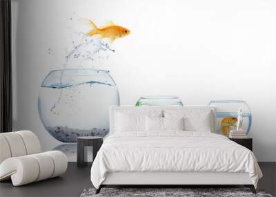 Beautiful bright goldfish jumping out of water on white background Wall mural