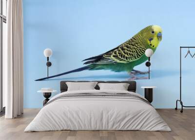 Beautiful bright parrot on light blue background. Exotic pet Wall mural