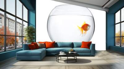 Beautiful bright small goldfish in round glass aquarium isolated on white Wall mural