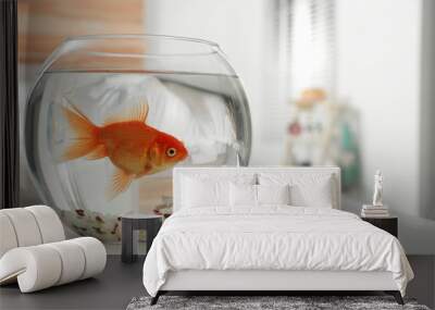 Beautiful bright small goldfish in round glass aquarium on table indoors. Space for text Wall mural