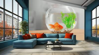 Beautiful bright small goldfish in round glass aquarium on wooden table indoors Wall mural