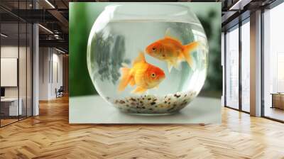 Beautiful bright small goldfishes in round glass aquarium on table indoors Wall mural