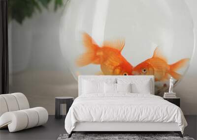 Beautiful bright small goldfishes in round glass aquarium on wooden table, closeup Wall mural