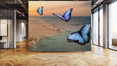 Beautiful butterflies flying over sea at sunset Wall mural