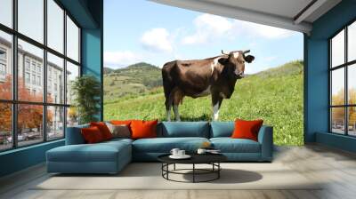 Beautiful cow grazing outdoors on sunny day Wall mural