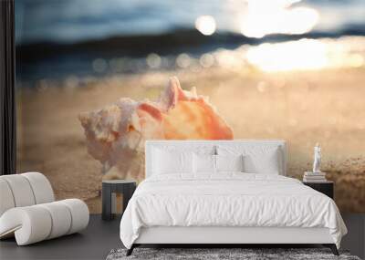 Beautiful exotic sea shell on sandy beach Wall mural