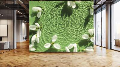 Beautiful flowers in water on green background, top view. Space for text Wall mural