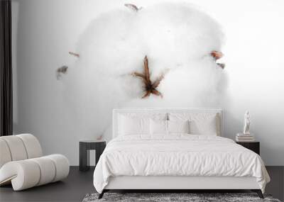 Beautiful fluffy cotton flower on white background Wall mural