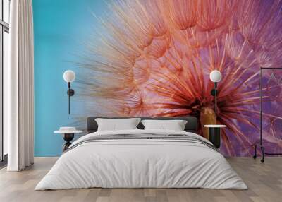 Beautiful fluffy dandelion flower, closeup. Color tone Wall mural