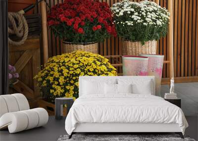 Beautiful fresh chrysanthemum flowers and gardening tools indoors Wall mural