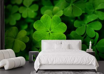 Beautiful fresh green clover leaves, closeup view Wall mural