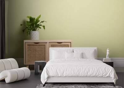 Beautiful houseplant on wooden chest of drawers near light green wall indoors. Space for text Wall mural