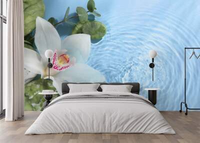 Beautiful orchid, spa stones and eucalyptus branch in water on light blue background, top view. Space for text Wall mural