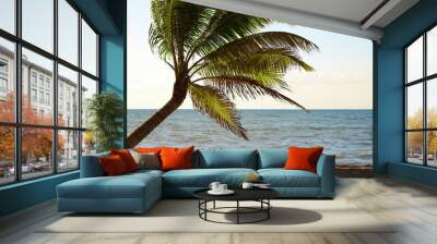 Beautiful palm tree with green leaves near sea Wall mural