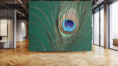 Beautiful peacock feather on teal background, closeup Wall mural