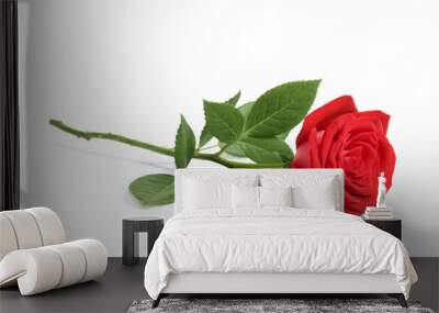 Beautiful red rose flower on white background Wall mural