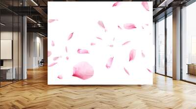 Beautiful sakura flower petals flying on white background. Banner design Wall mural