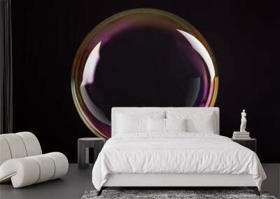 Beautiful translucent soap bubble on dark background Wall mural