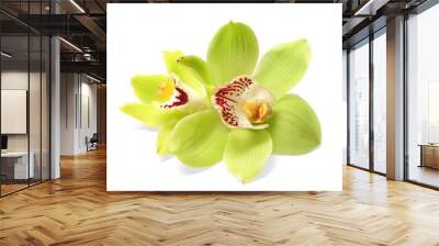 Beautiful tropical orchid flowers on white background Wall mural