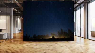 Beautiful view of dark forest under starry sky at night Wall mural