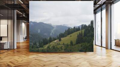 Beautiful view of forest in mountains under sky Wall mural