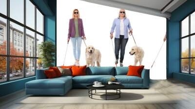 Blind people with long canes and guide dogs on white background. Banner design Wall mural