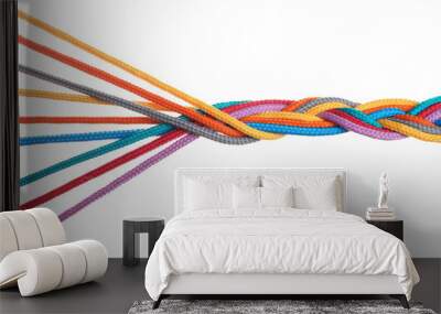 Braided colorful ropes isolated on white. Unity concept Wall mural