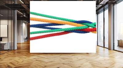 Braided colorful ropes isolated on white. Unity concept Wall mural