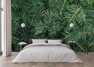 Branches of Christmas tree as background, closeup Wall mural