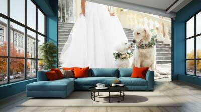 Bride and adorable dogs wearing wreathes made of beautiful flowers outdoors, closeup Wall mural