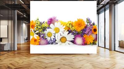 bunch of beautiful wild flowers on white background Wall mural