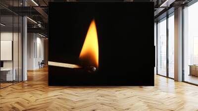 Burning matchstick on black background, closeup. Space for text Wall mural