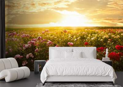 Bushes with beautiful roses outdoors on sunny day Wall mural