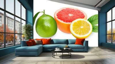 Citrus fruits. Fresh grapefruit, lemon and lime on white background Wall mural