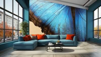 Closeup view of beautiful Blue Morpho butterfly Wall mural