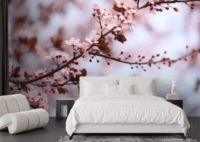 Closeup view of blossoming tree outdoors on spring day Wall mural