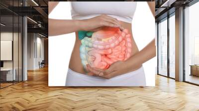 Closeup view of woman with illustration of abdominal organs on her belly against white background Wall mural